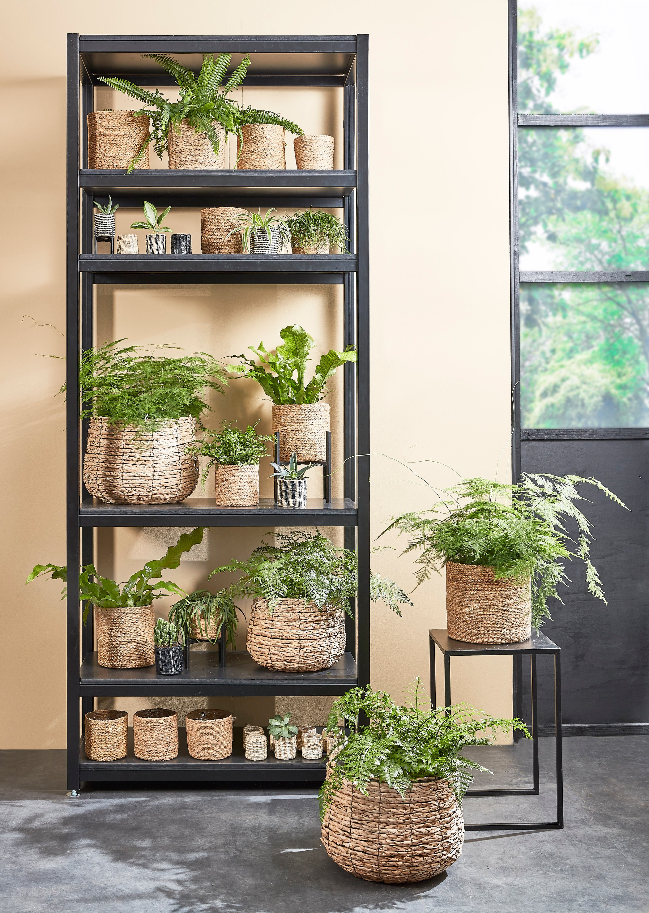 Mica Decorations Ascot Plantenstandaard XL L38 x B38 x H40cm Metaal